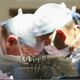 Illustration for article titled Cornell Surgeon Used Vibrator To Stimulate 6-Year-Olds